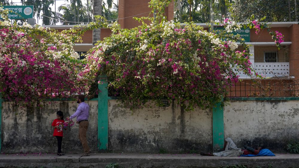 Photograph by Md. Shafiul Islam Mahin