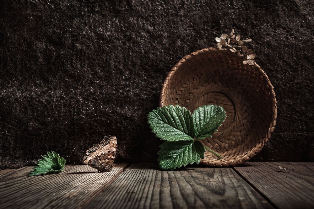 Photograph by Татьяна Макотра