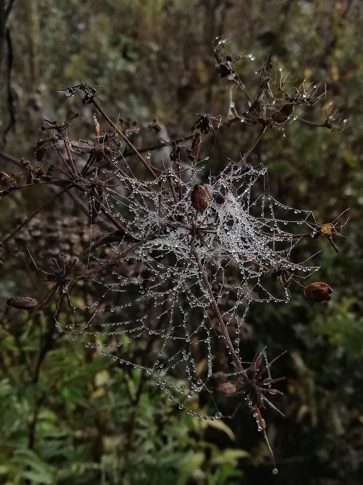 Photograph by Екатерина Чижевская