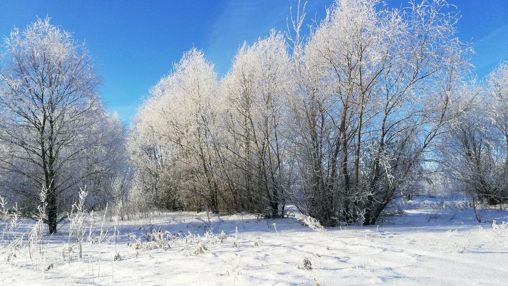 Photograph by Ирина Алпацкая