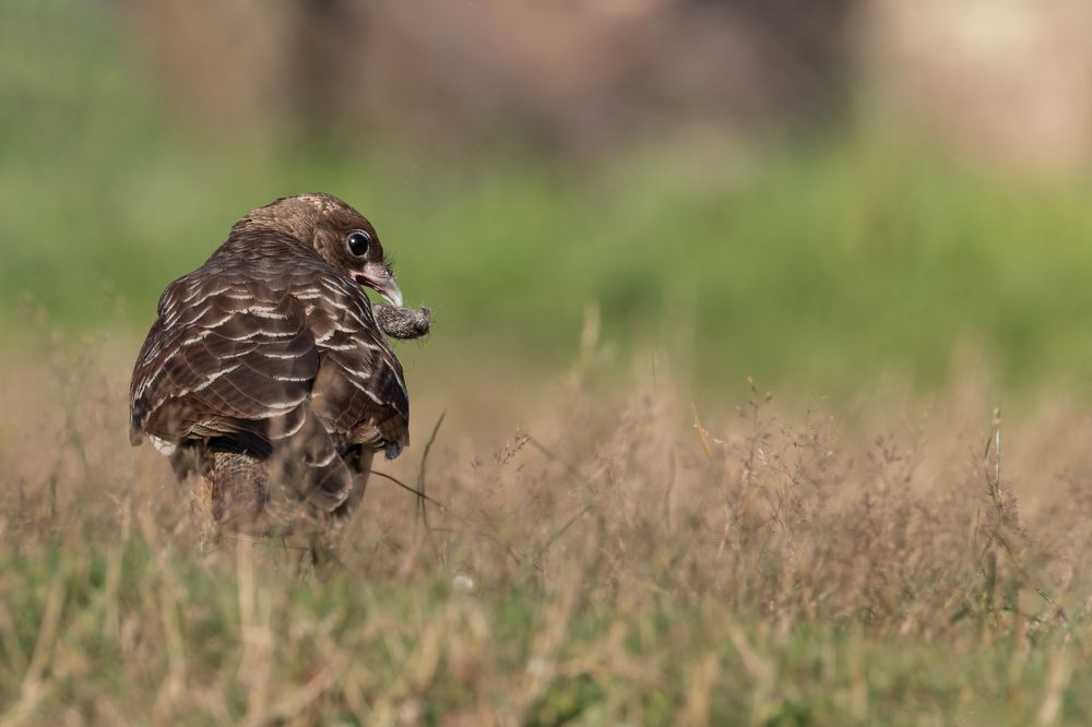 Photograph by dana berger