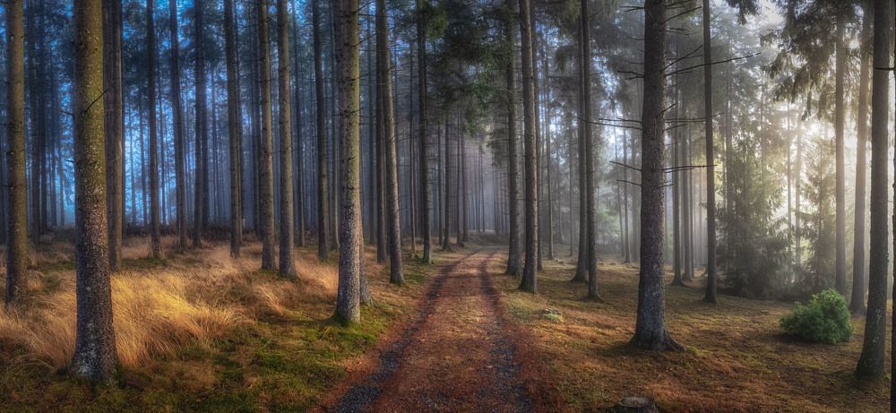 Photograph by Guy Krier