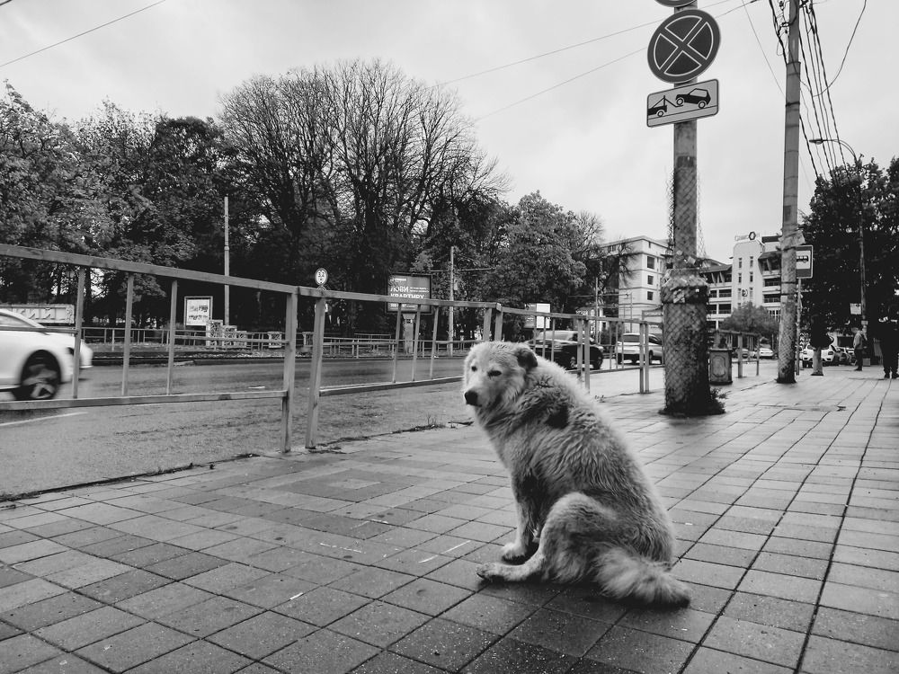 Photograph by Марина Храпова