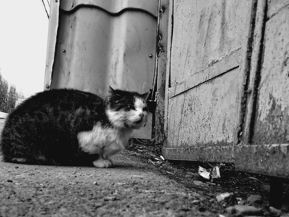 Photograph by Марина Храпова