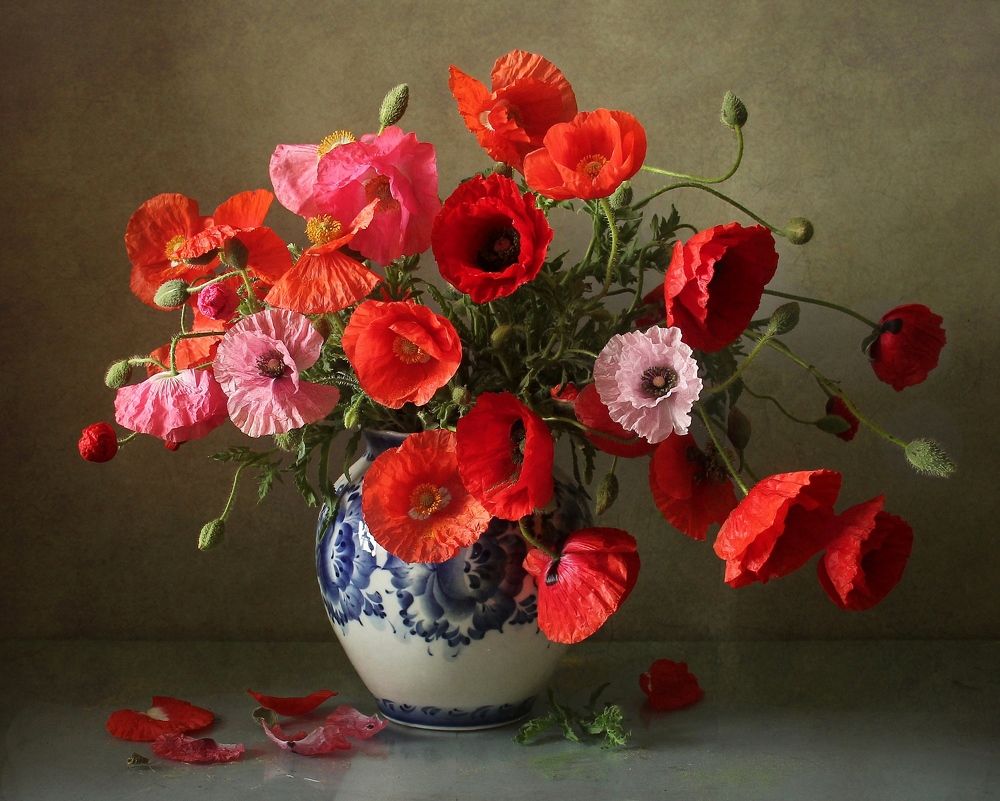 Photograph by Марина Филатова