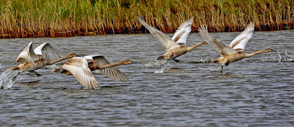 Photograph by Евгений Самулев