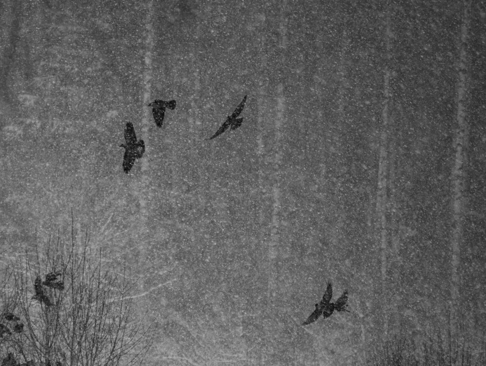 Photograph by Константин Цыкалюк