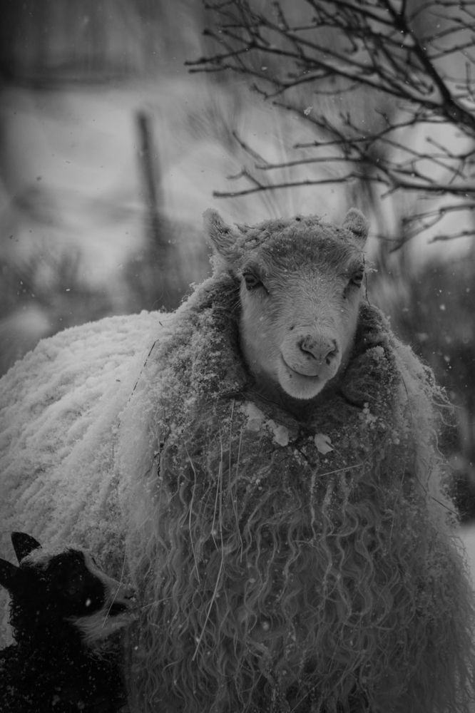 Photograph by Константин Цыкалюк