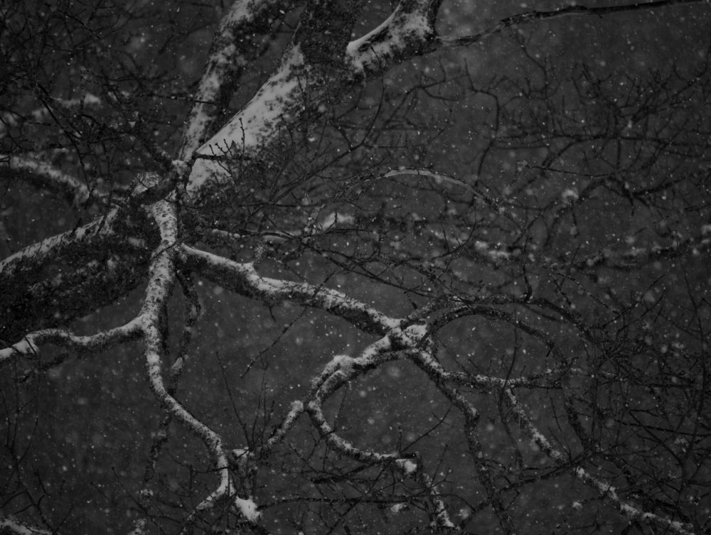 Photograph by Константин Цыкалюк