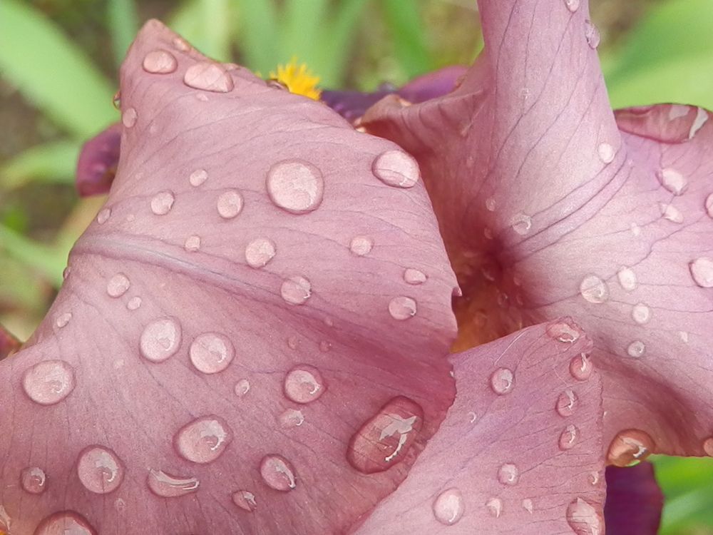 Photograph by Георгий Салюков