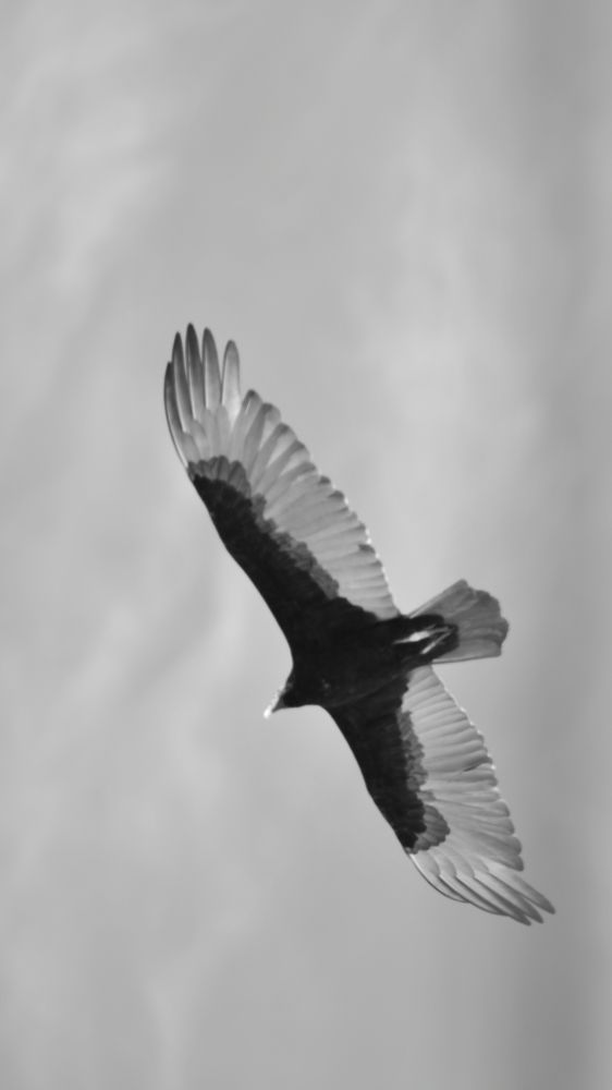 Фотография автора Jose Luis Ibarra Lopez