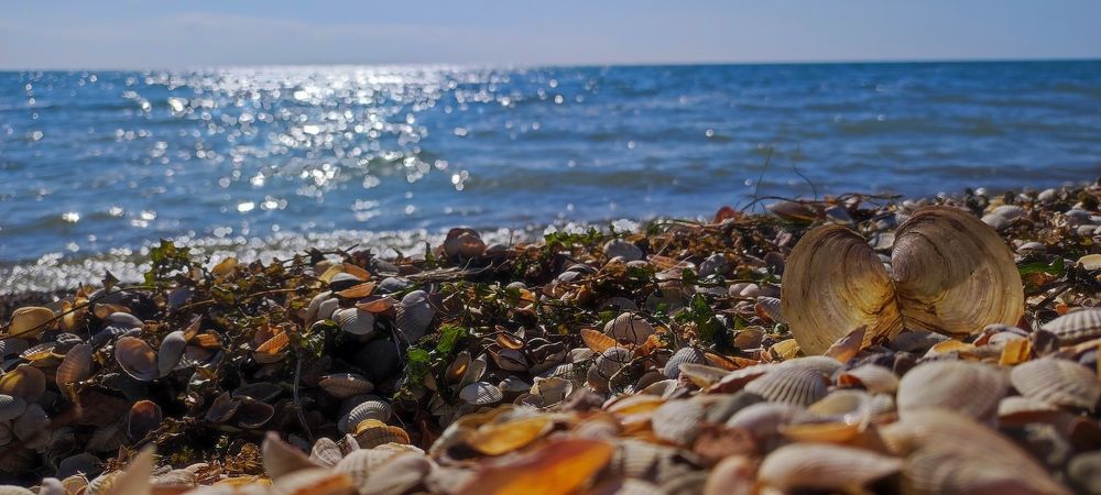 Photograph by Viktoria