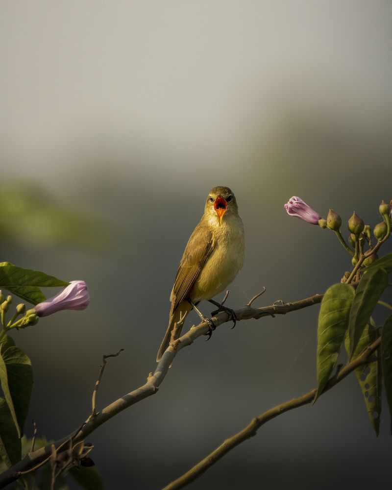 Photograph by Ajay Neelam