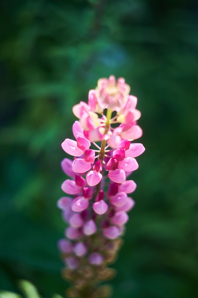 Photograph by Володина Екатерина