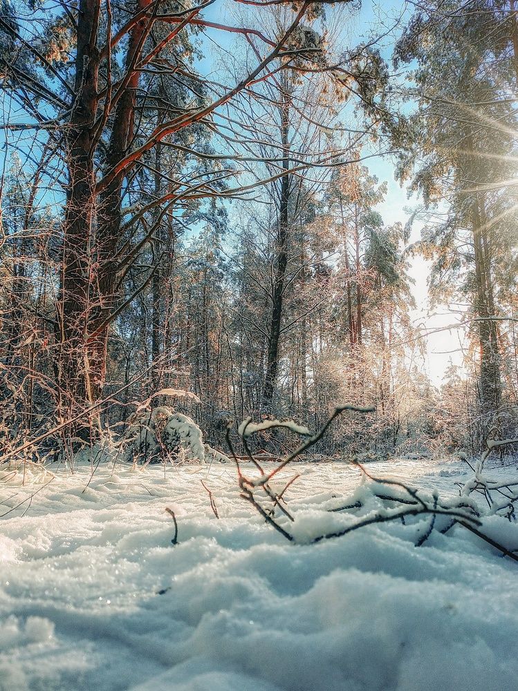 Photograph by Siarhei Pliuto