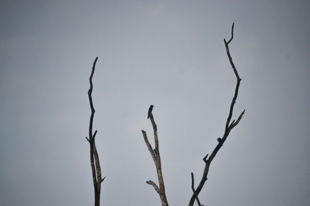 Photograph by Kasun Wickramasinghe