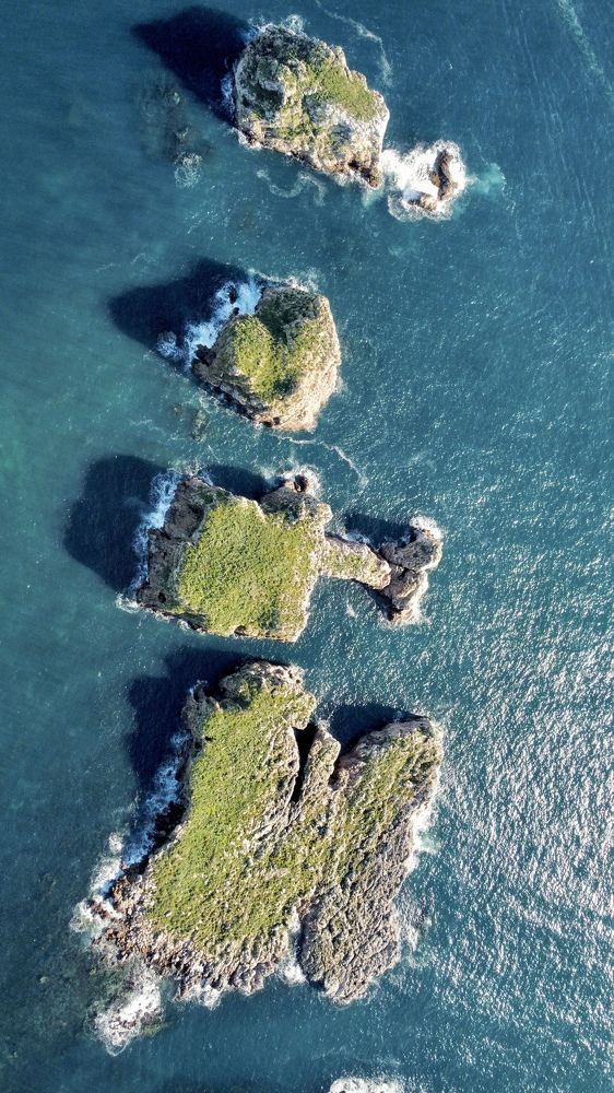 Photograph by Renate Tompsone