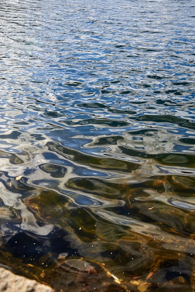 Photograph by Володина Екатерина