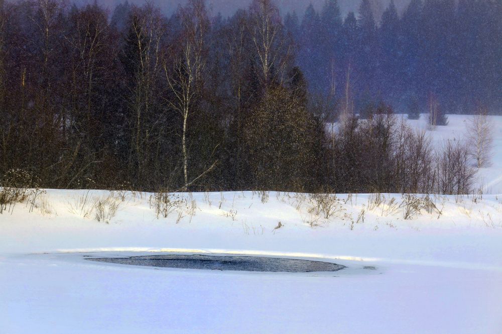 Фотография автора Павел Мартюшев
