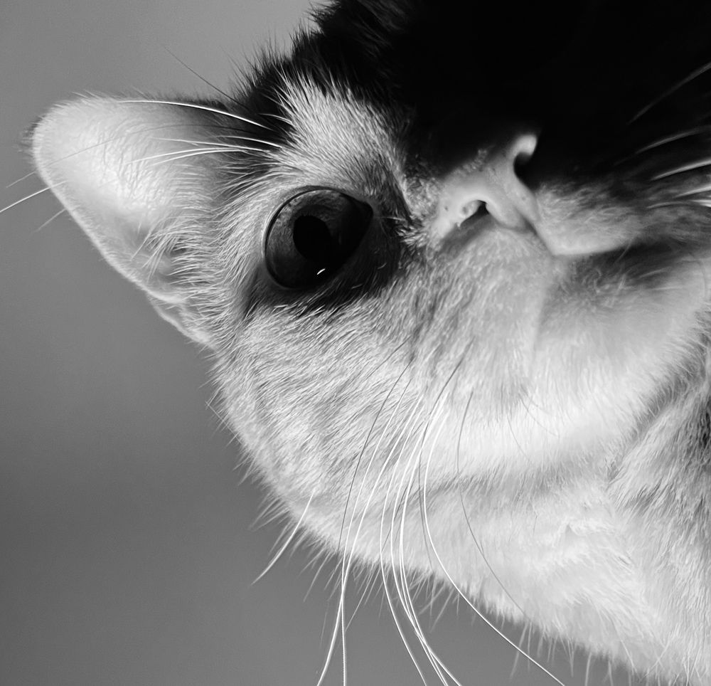 Photograph by Cibele Sancha