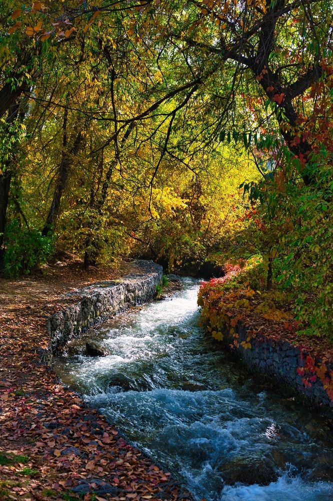 Photograph by Михаил Ноеренчук