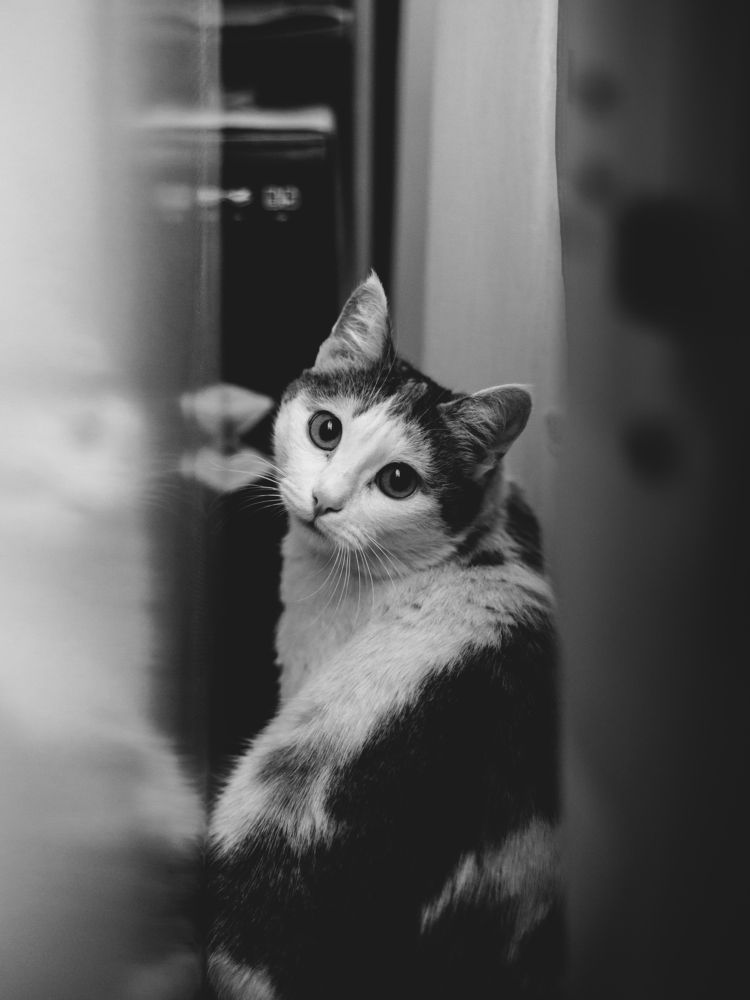 Photograph by Юлия Рязанова