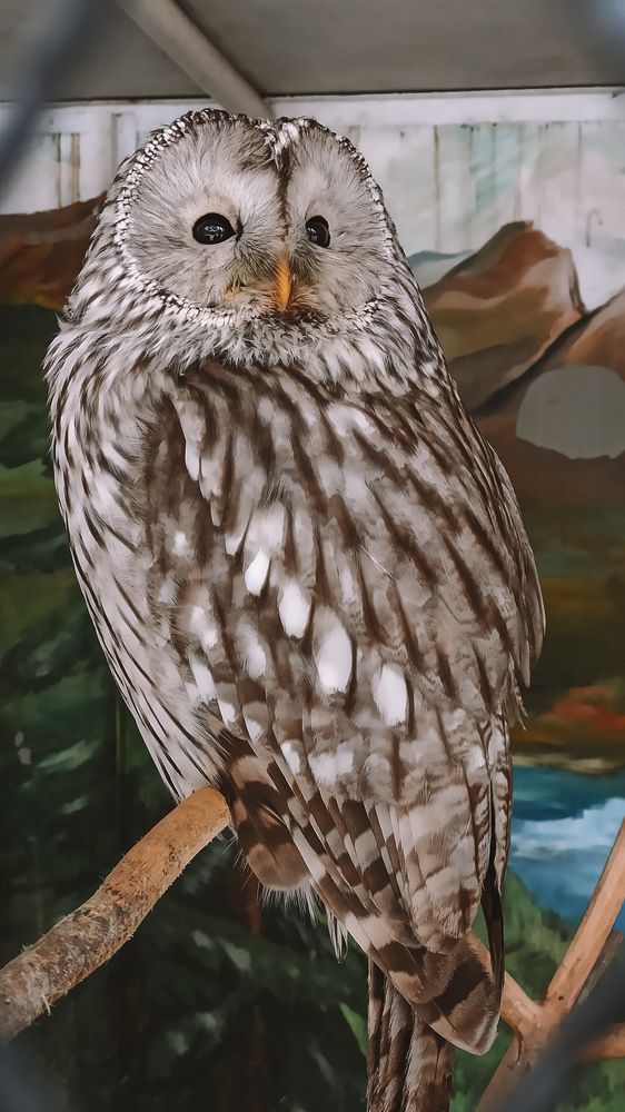 Photograph by Валентина Ильиных