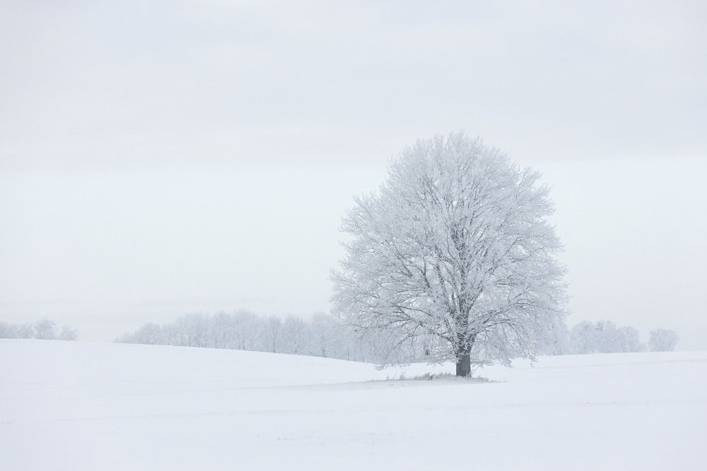 Photograph by Wiktor Kulesa