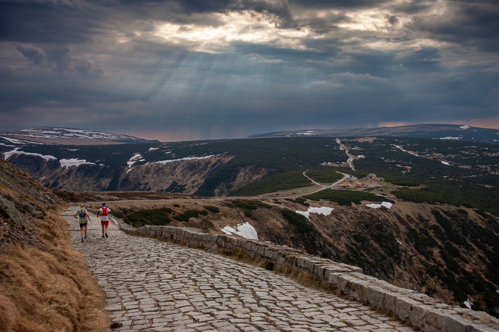 Photograph by Wiktor Kulesa