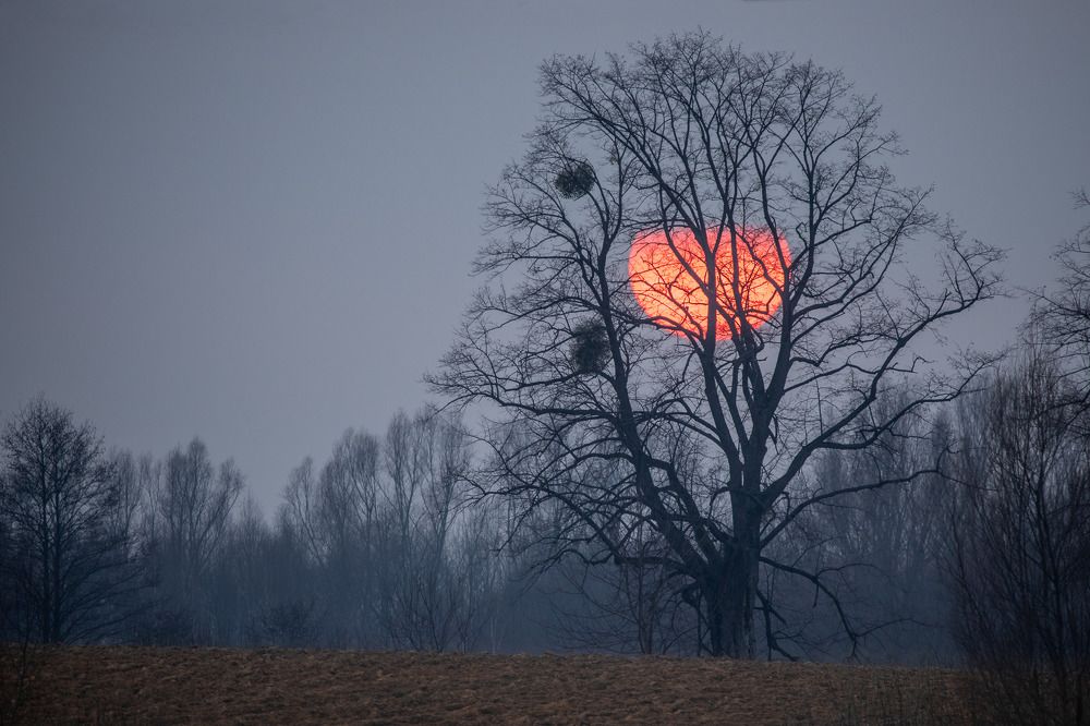 Photograph by Wiktor Kulesa