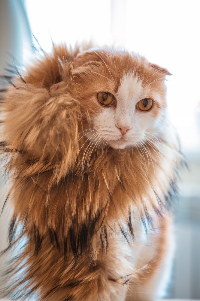 Photograph by Елена Лобакова