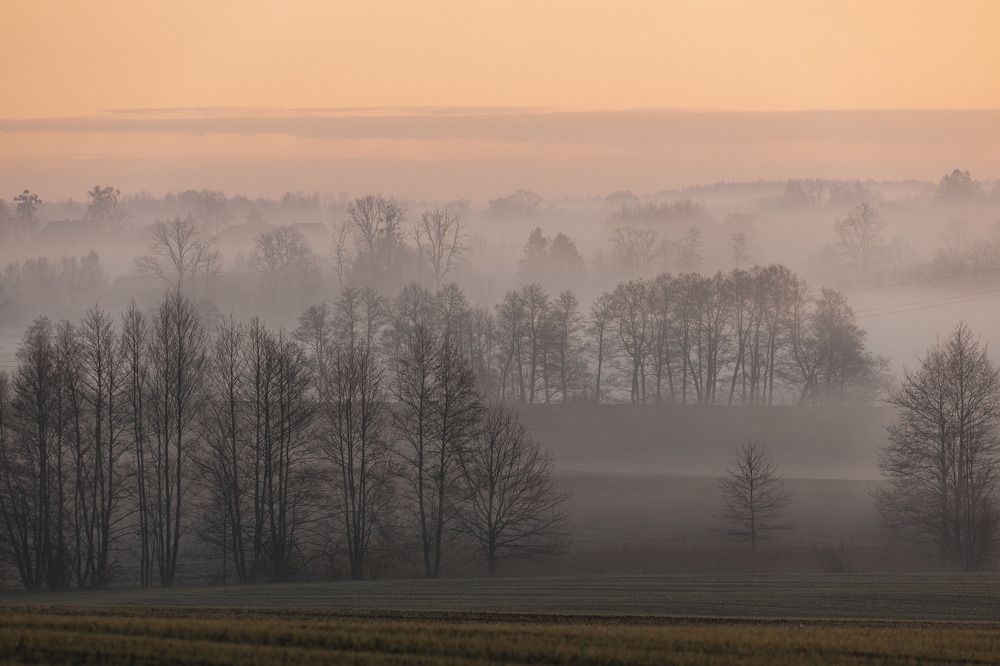 Photograph by Wiktor Kulesa