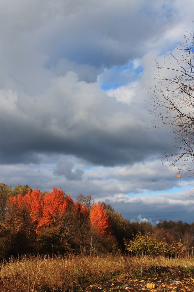 Фотография автора Алла Черноморская