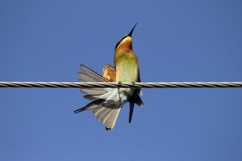 Photograph by Sudhakaran K K