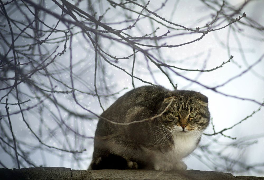 Photograph by Зимина Лионелла