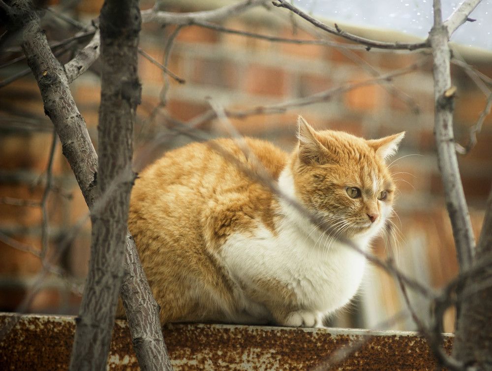 Photograph by Зимина Лионелла