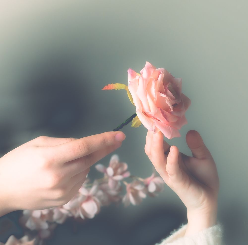 Photograph by Palchikov Sergey