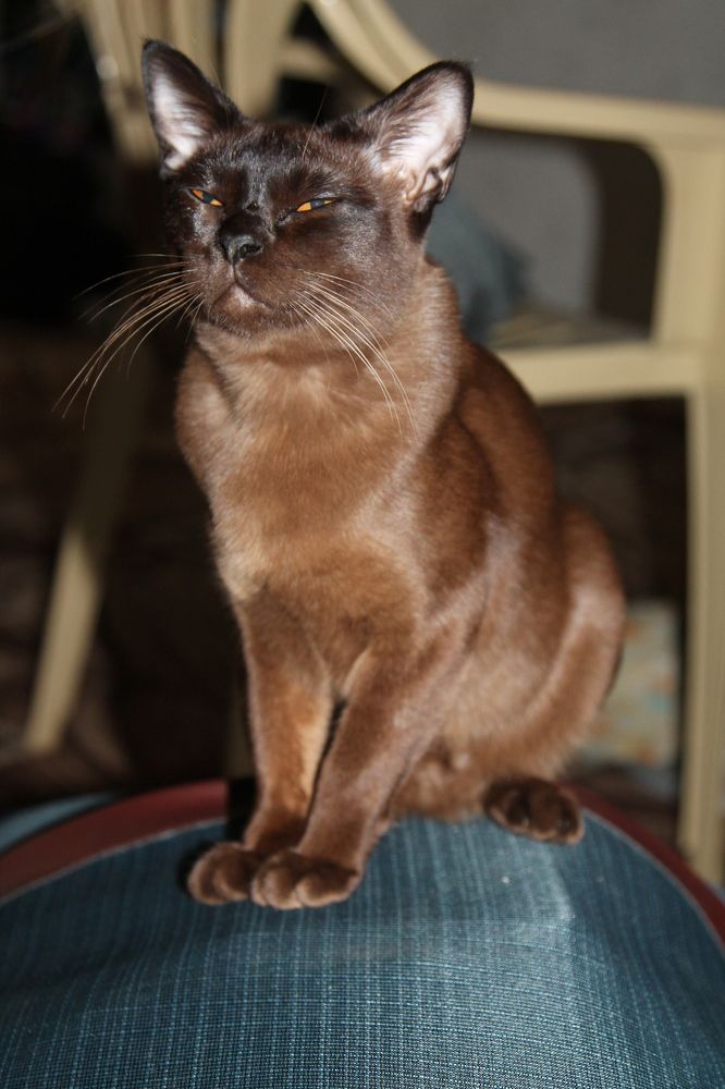 Photograph by Ольга Слотвинская