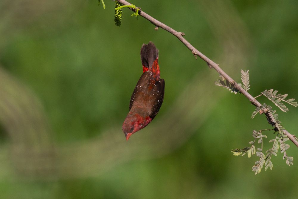 Photograph by Parth Solanki