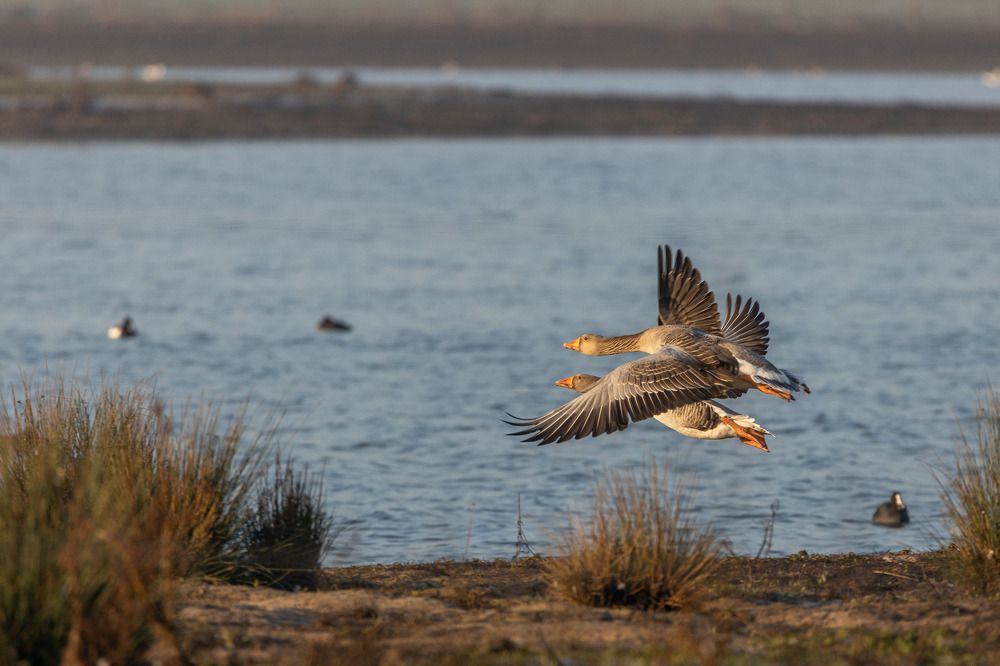 Photograph by Wiktor Kulesa