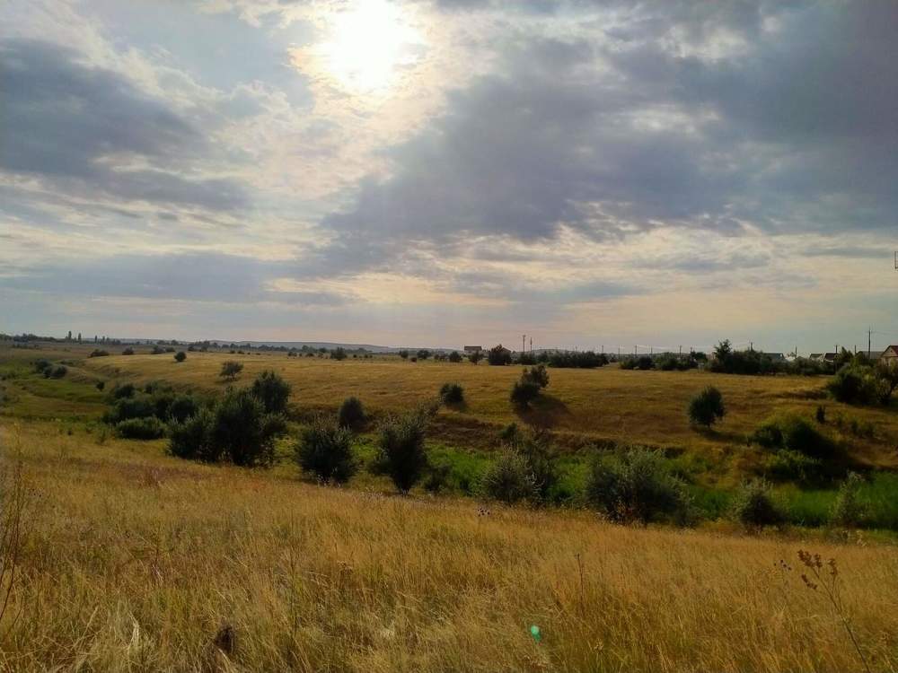 Photograph by Анастасия