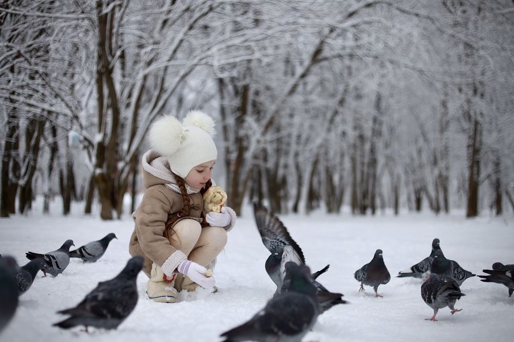 Photograph by Елена Сторожева