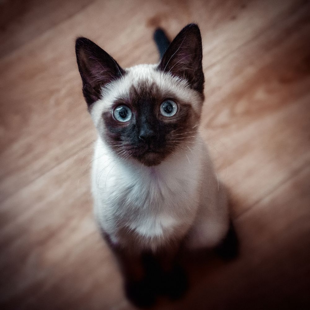 Photograph by Светлана Инькова