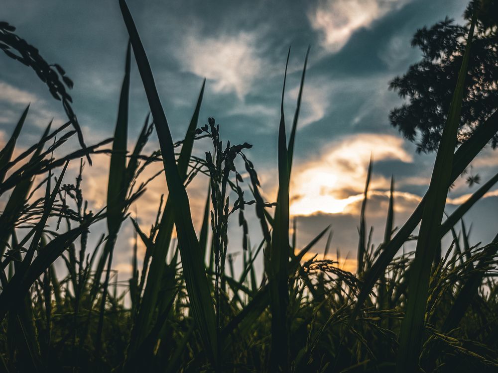 Фотография автора Arnab Nandi