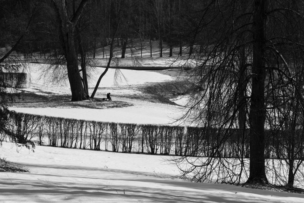 Фотография автора Дмитрий Иванов