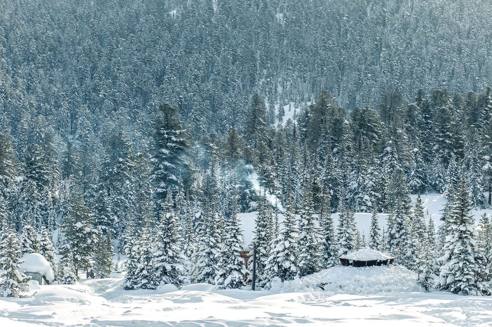 Фотография автора Оркина Ксения