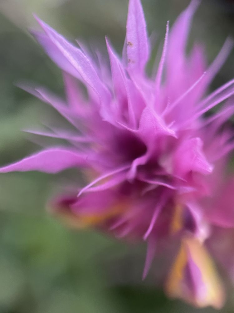 Photograph by Elena Budycheva