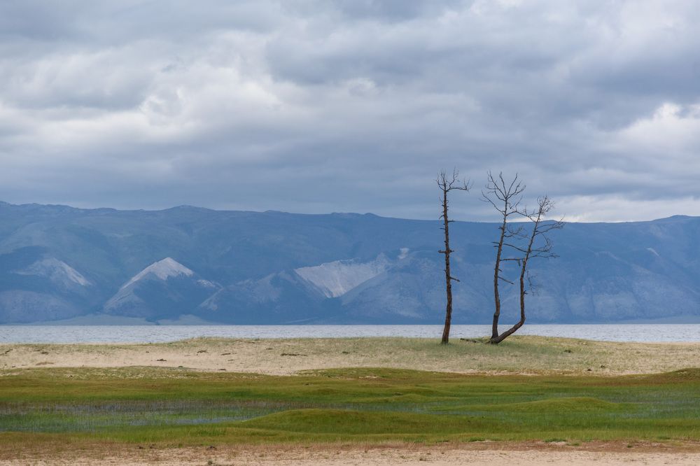 Фотография автора Рохмистрова Мария