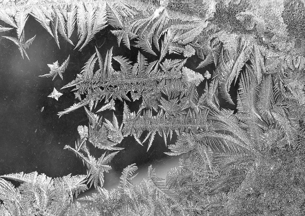 Photograph by Анатолий Стафичук