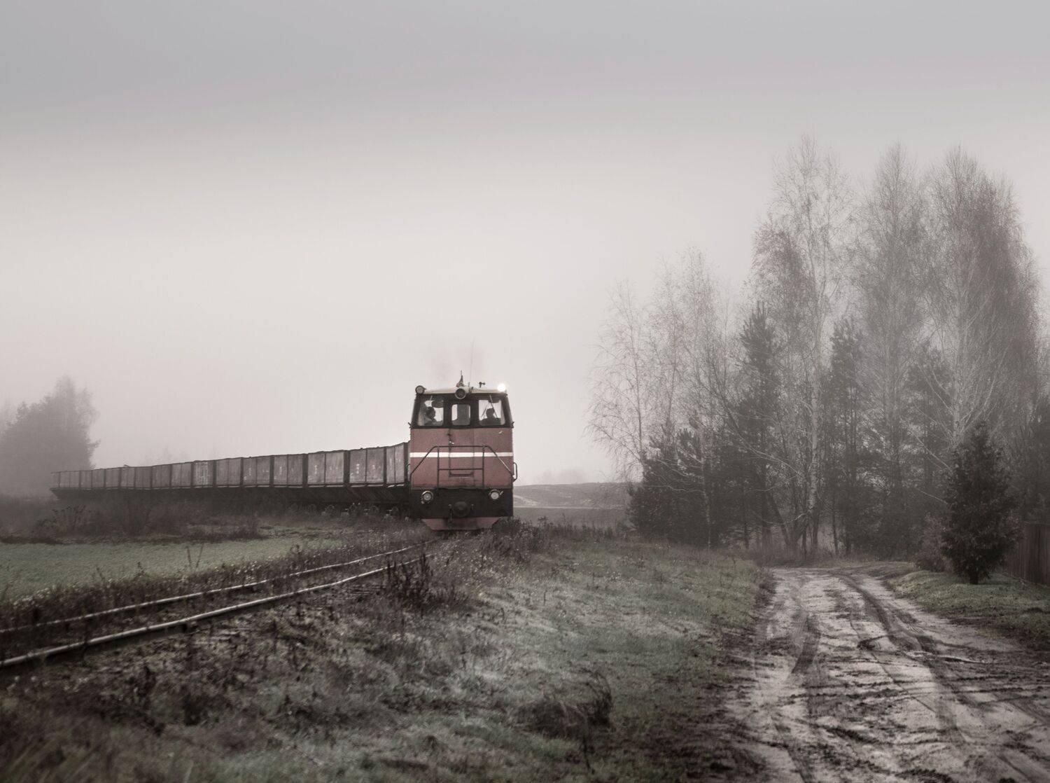 Фотография #8963887